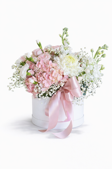 Blush & Bows