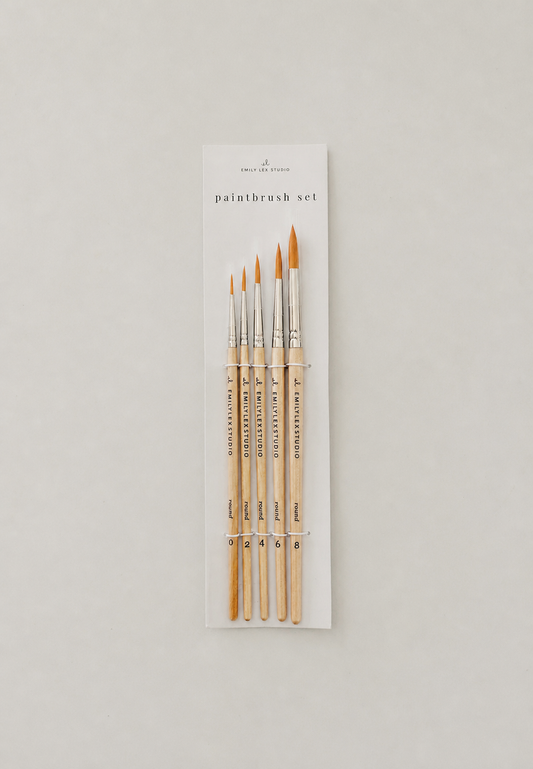 Paint Brush Set