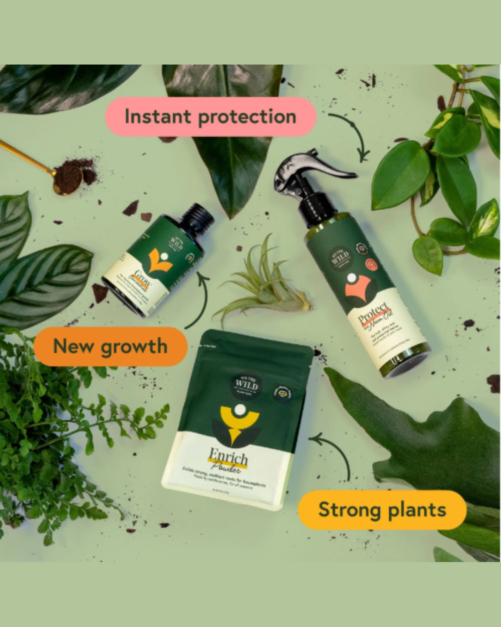 Essential Houseplant Care Kit
