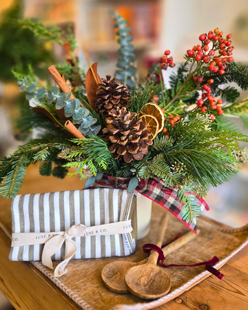 The Cozy Countertop Collection