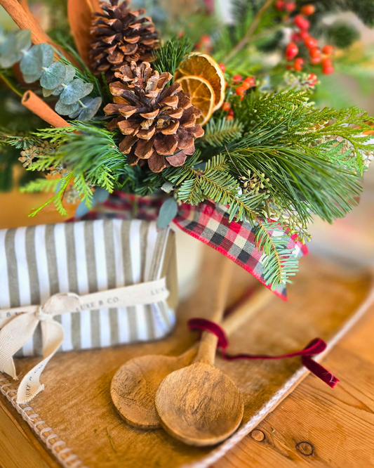 The Cozy Countertop Collection