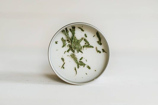 Woodland Forest Candle | 8Oz